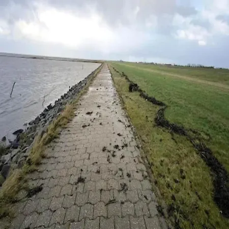 Doppelhaushaelfte In * 도누메시어