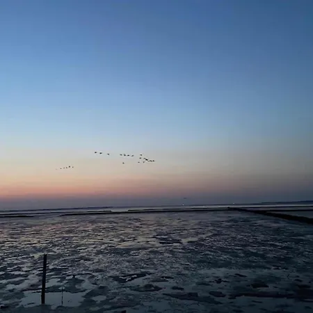 Doppelhaushaelfte In 도누메시어