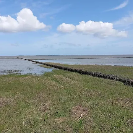 펜션 Doppelhaushaelfte In 도누메시어