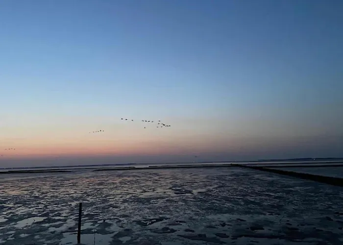 Doppelhaushaelfte In Dornumersiel