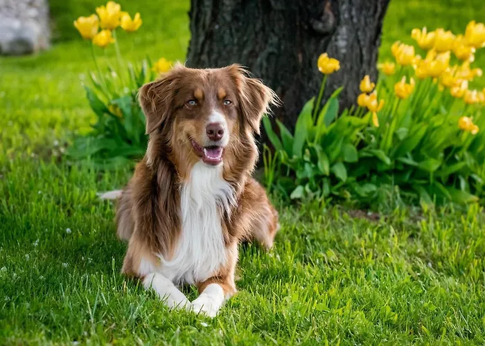 Doppelhaushaelfte In Casa de Férias